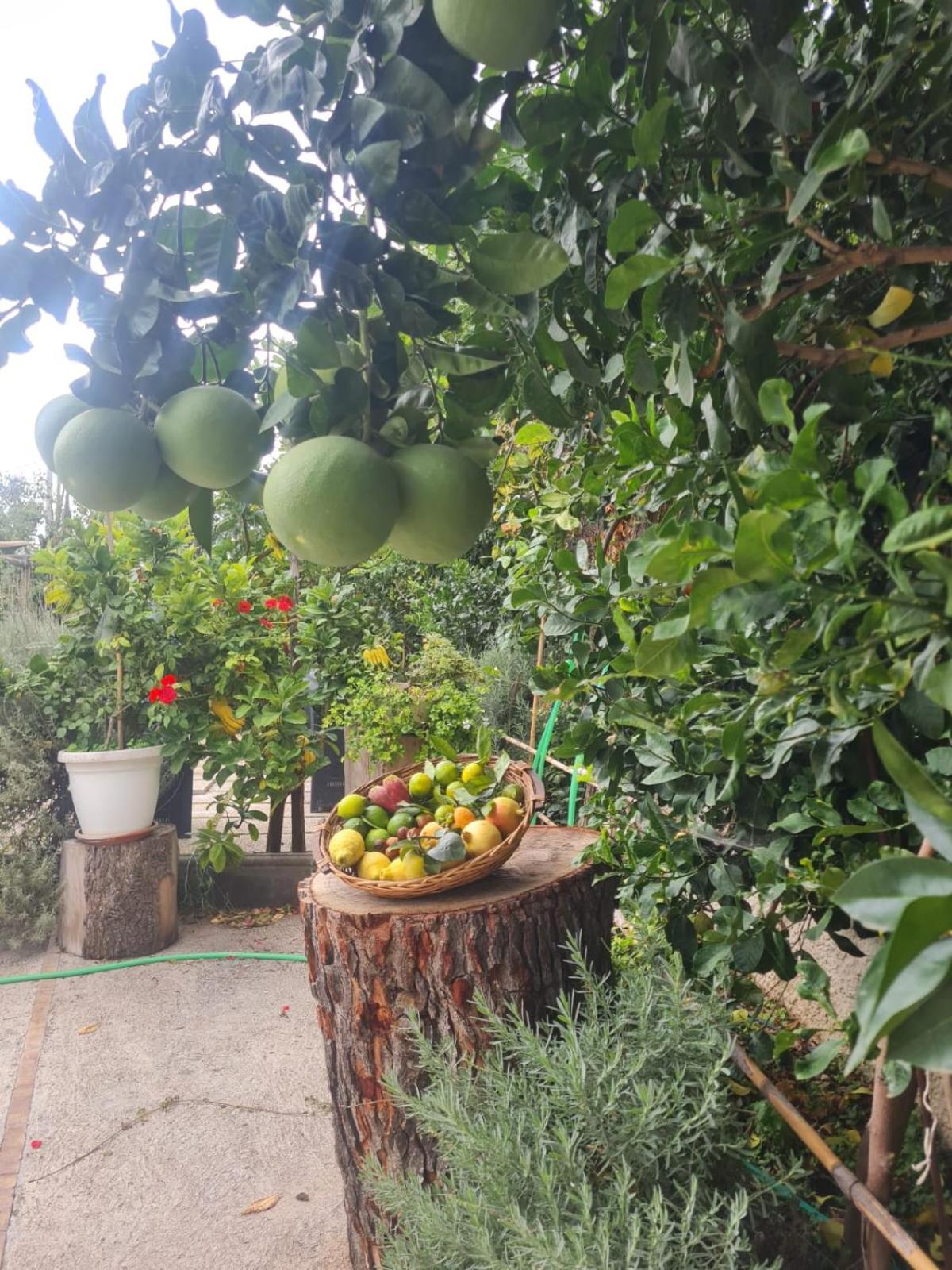 B&B Casa Vacanza Cioffi Vico Equense Exteriér fotografie